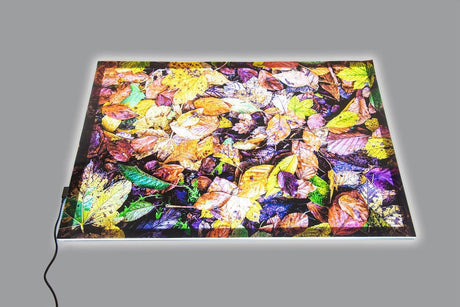 A2 Light Panel + Autumn Leaves Play Mat 73578P (Direct Shipping) - Little Whispers