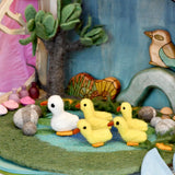 Tara's Treasures Duck Pond with 6 Ducks Play Mat Playscape