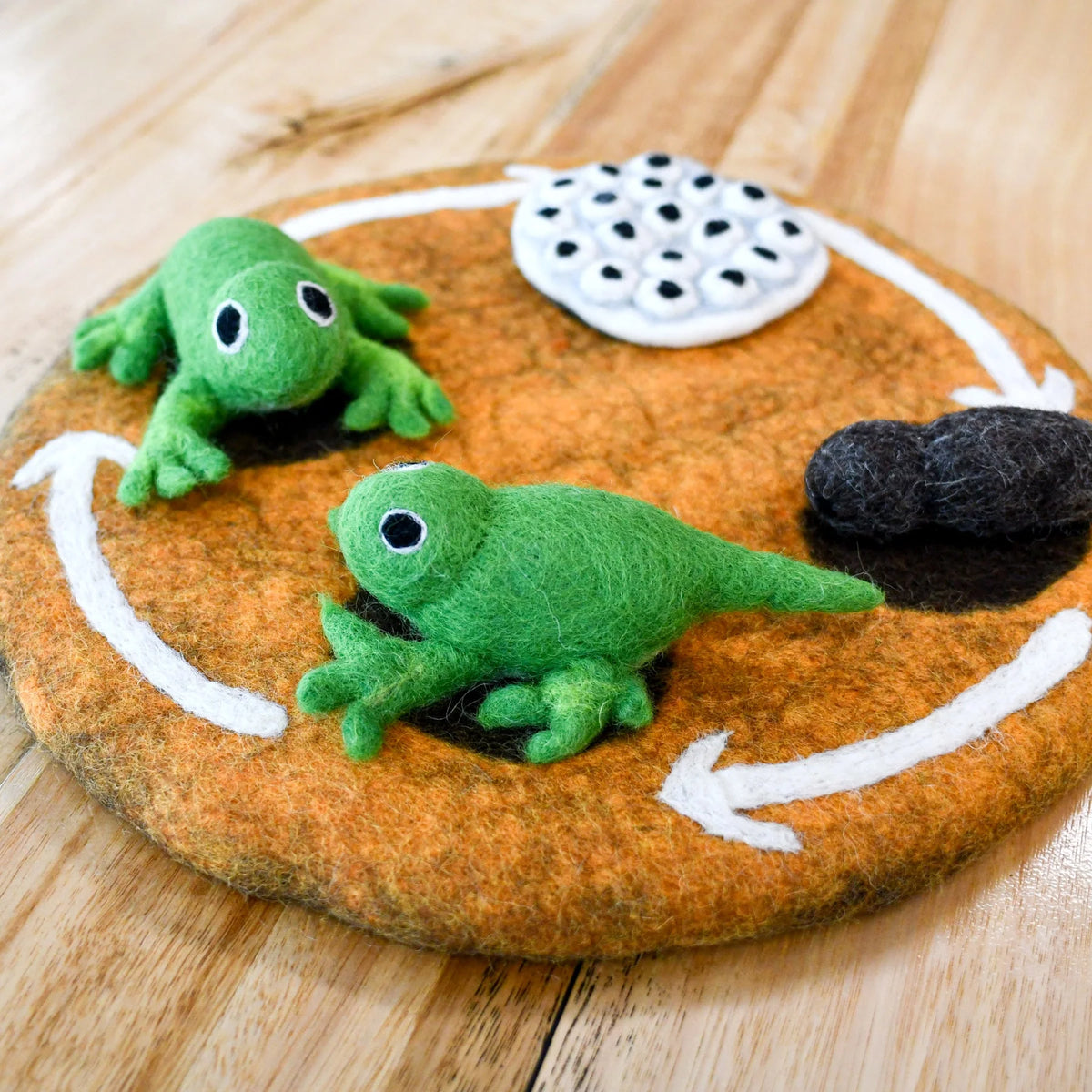 Tara's Treasures Felt Lifecycle of a Frog
