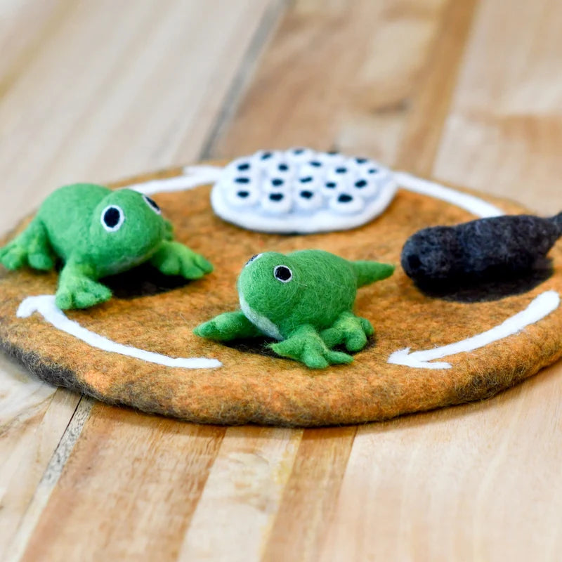 Tara's Treasures Felt Lifecycle of a Frog