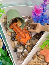Yellow Door Ocean Life Sensory Play Stones