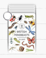 Minibeasts Flash Cards 