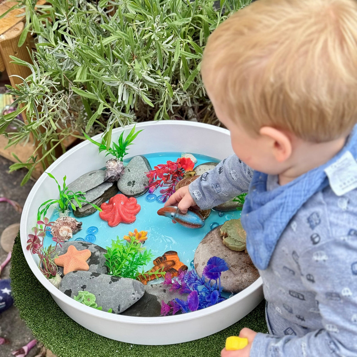 Yellow Door Ocean Life Sensory Play Stones