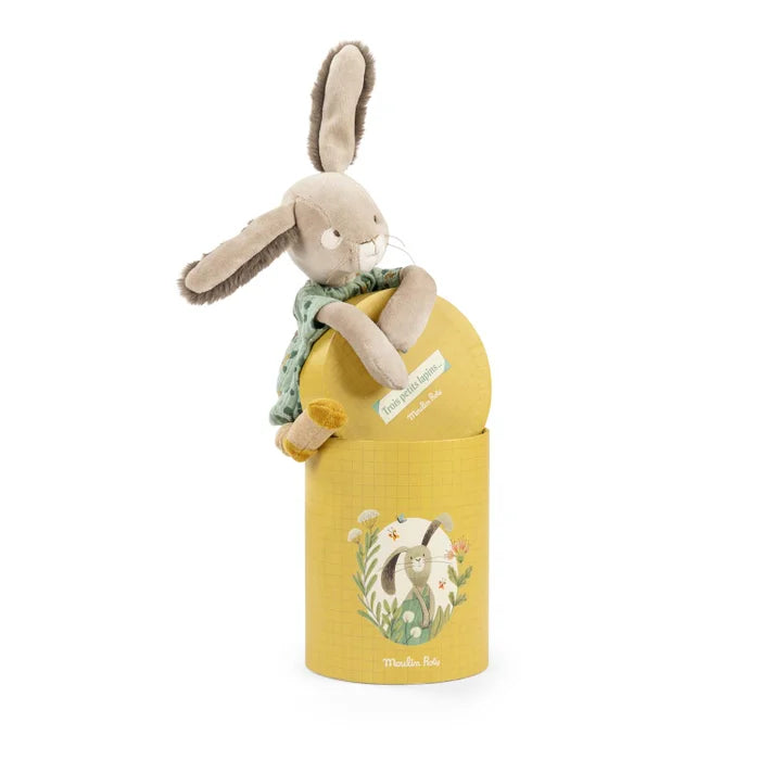 Moulin Roty Sauge the rabbit holding onto her box