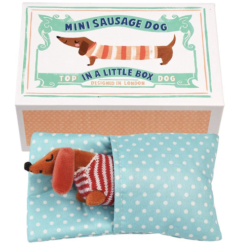 Mini Sausage Dog in a little matchbox