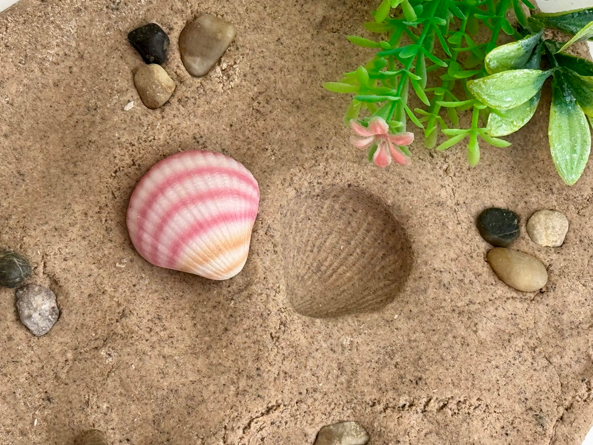 Yellow Door SeaShells Sensory Play Stones