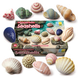 Yellow Door SeaShells Sensory Play Stones