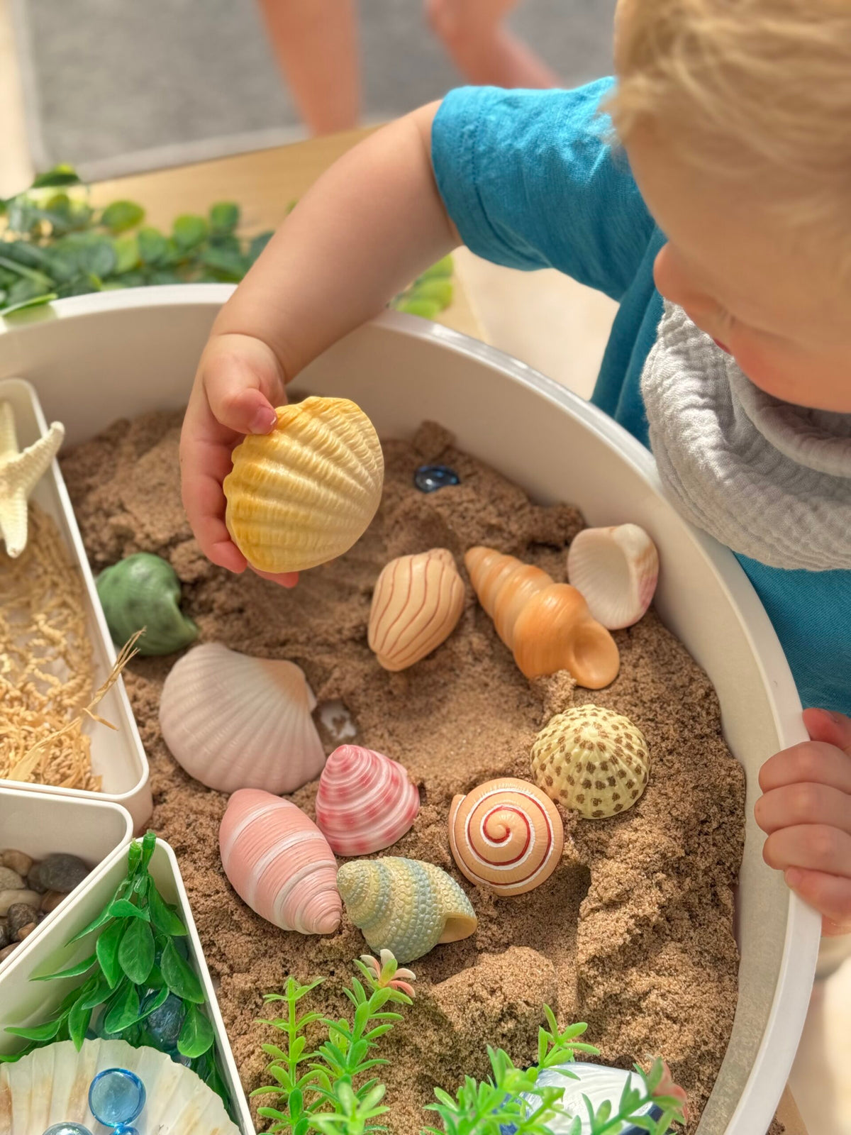 Yellow Door SeaShells Sensory Play Stones