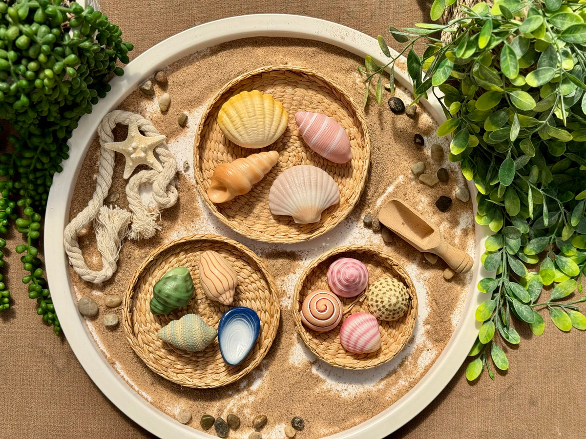Yellow Door SeaShells Sensory Play Stones