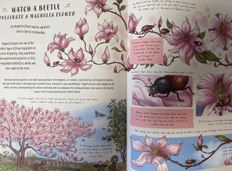 Slow Down and be here Now Nature Book - Little Whispers