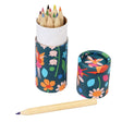 Tube of colouring pencils - Fairies in the Garden - Little Whispers
