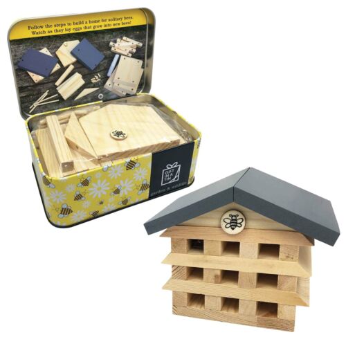 Apples To Pears Gift In A Tin Build A Bee Hotel - Little Whispers