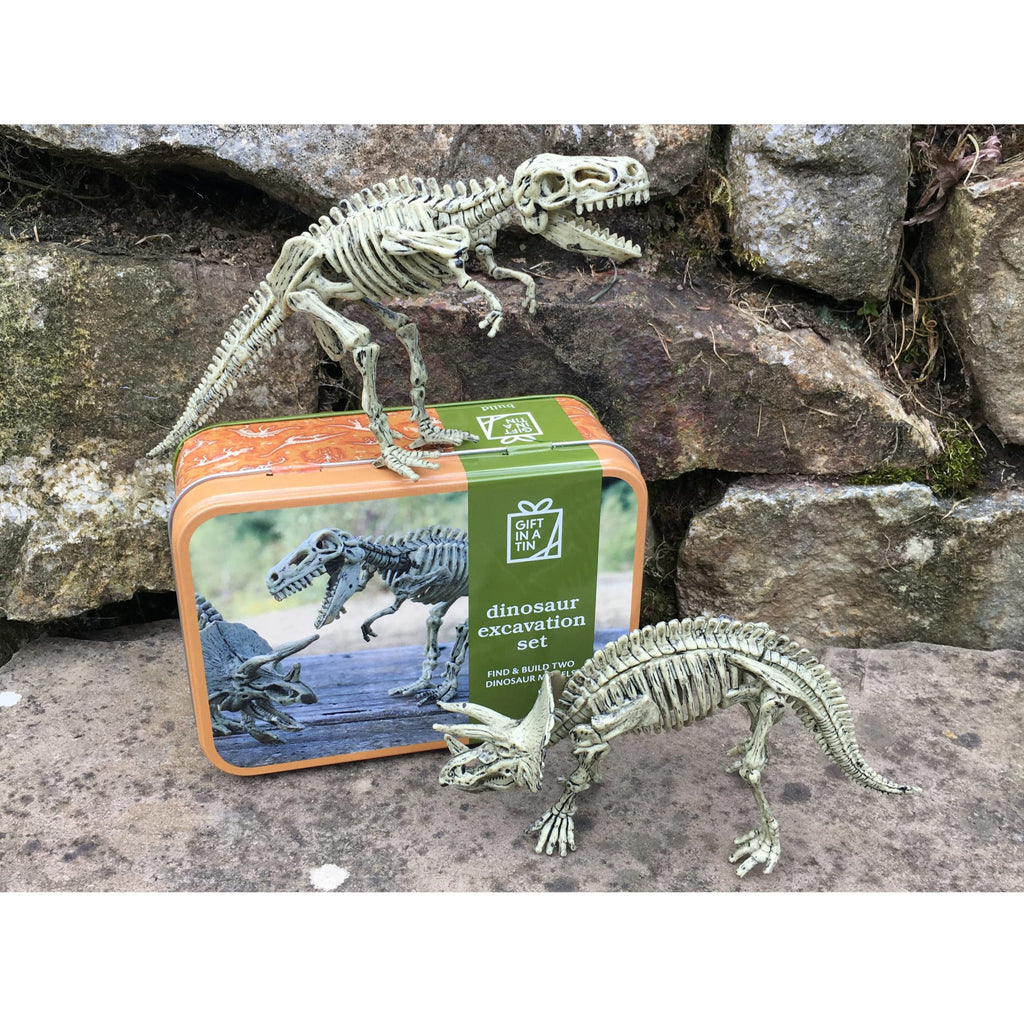 Apples To Pears Gift In A Tin Dinosaur Excavation Kit - Little Whispers