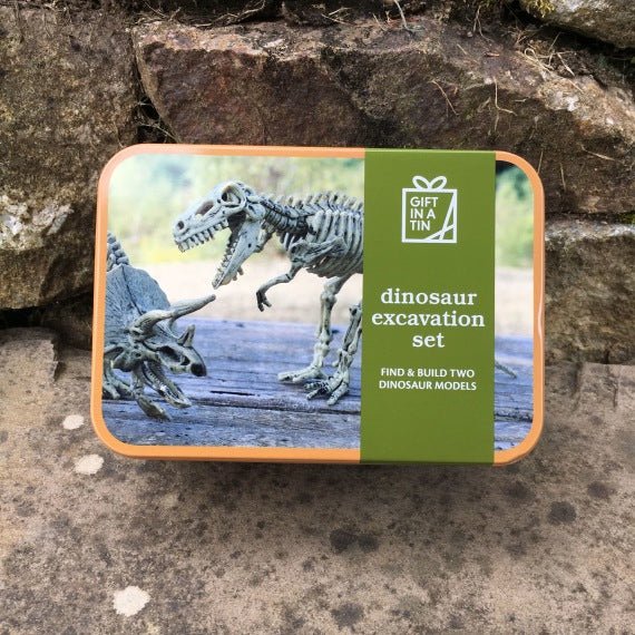 Apples To Pears Gift In A Tin Dinosaur Excavation Kit - Little Whispers