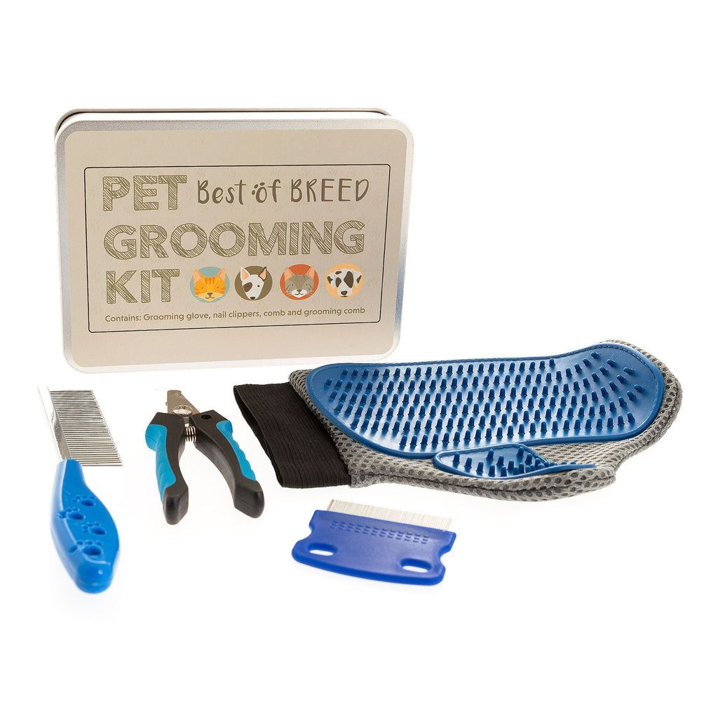 Apples To Pears Gift In A Tin Pet Grooming Kit - Little Whispers