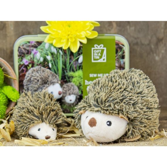 Apples To Pears Gift In A Tin Sew Me Up Hedgehog & Hoglet - Little Whispers