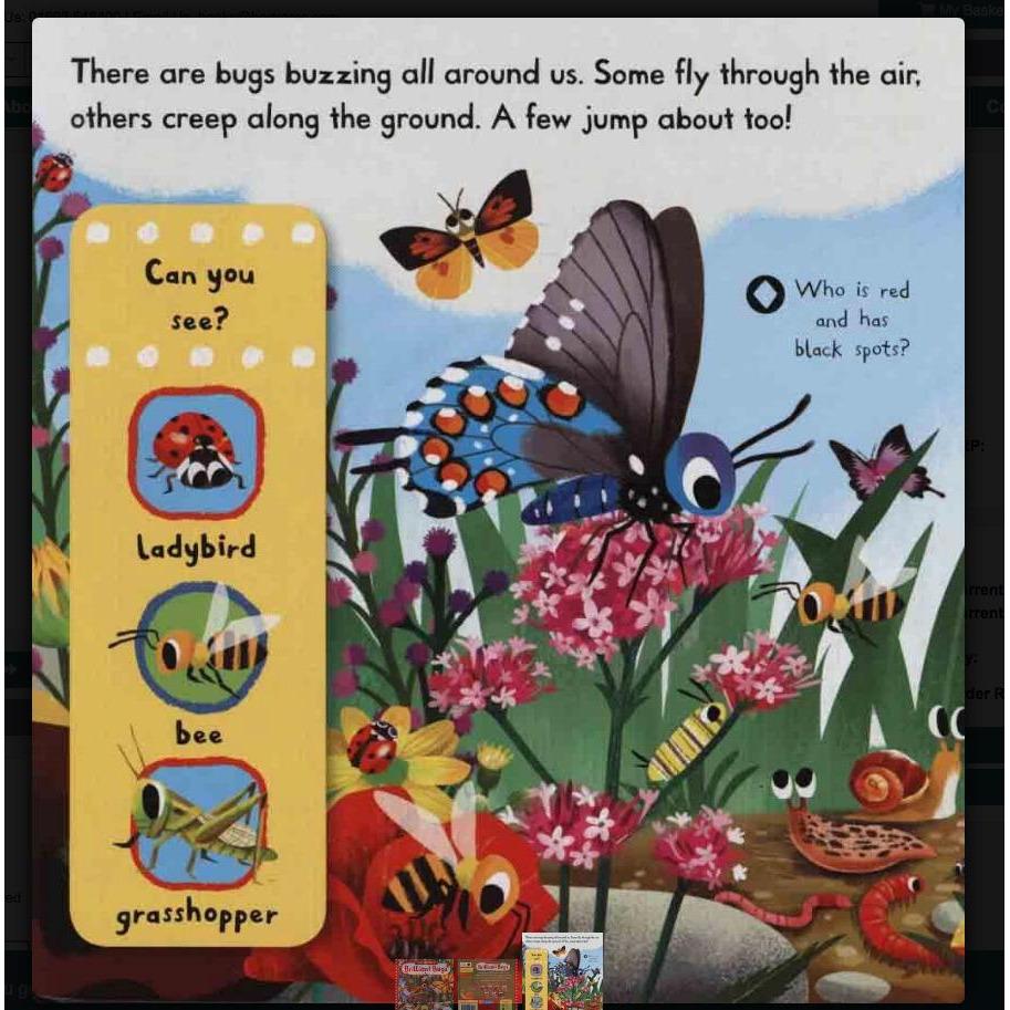 Brilliant Bugs Story Sack - Little Whispers