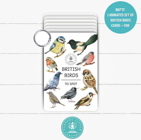 British Birds flashcards PLR - Little Whispers