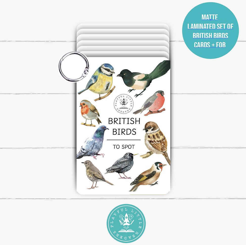 British Birds flashcards PLR - Little Whispers