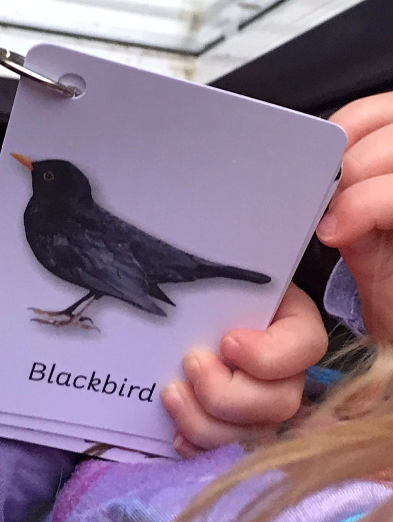 British Birds flashcards PLR - Little Whispers