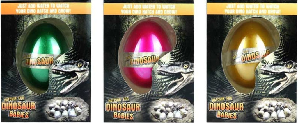 Egg Growing Dinosaurs (slight damage to box) - Little Whispers