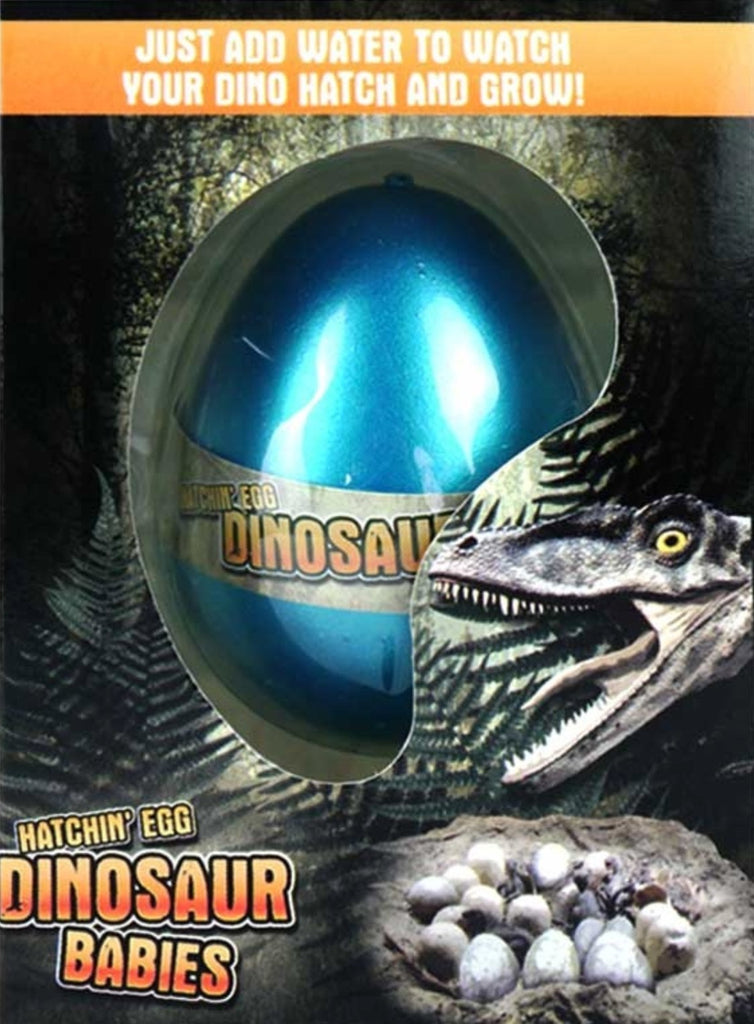 Egg Growing Dinosaurs (slight damage to box) - Little Whispers