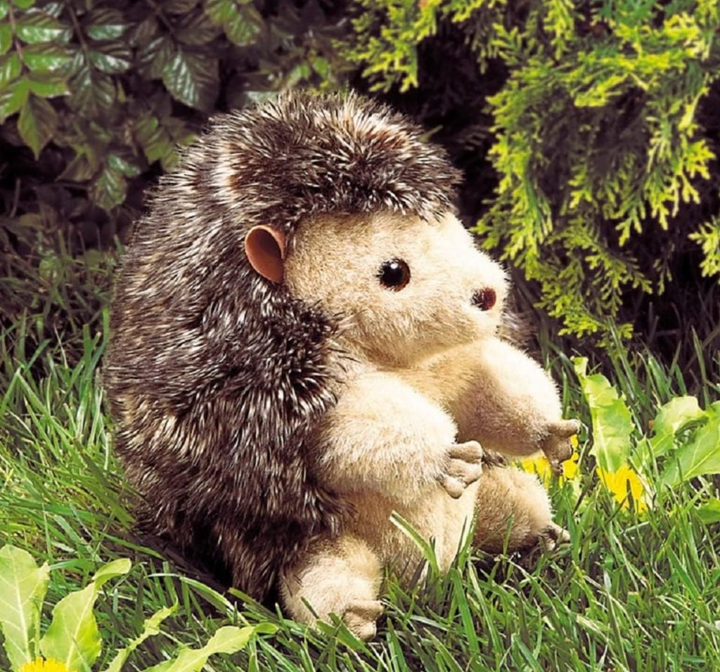 Folkmanis Hedgehog Hand Puppet (Pre-Order) - Little Whispers
