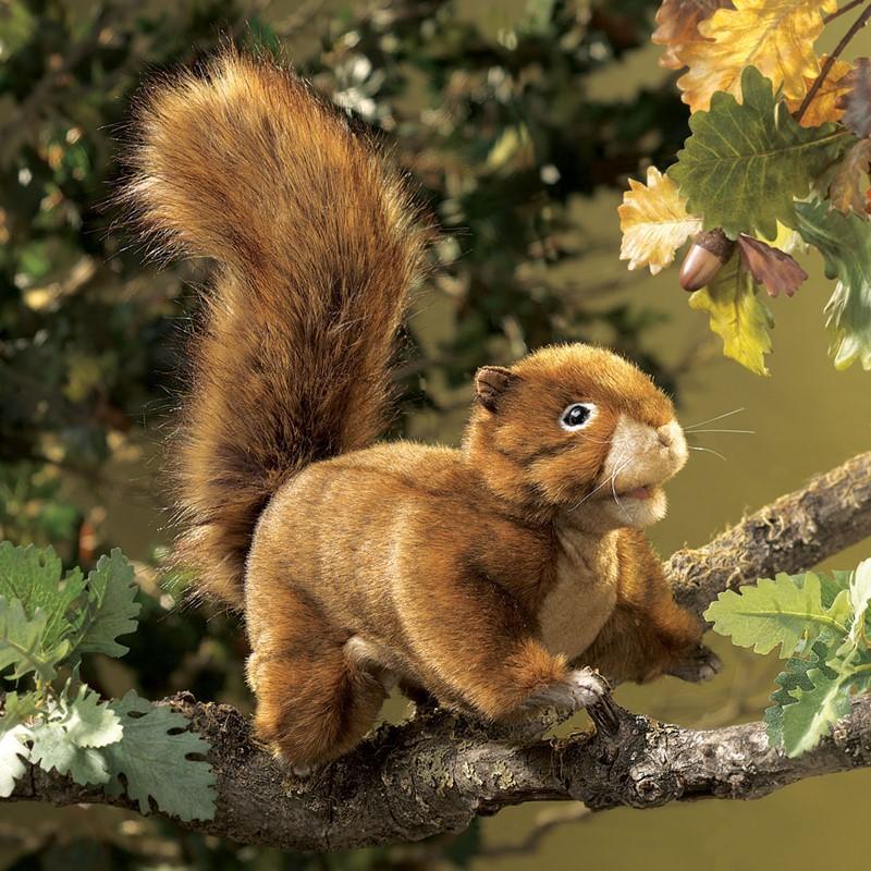 Folkmanis Mini Red Squirrel Finger Puppet (Pre-Order) - Little Whispers