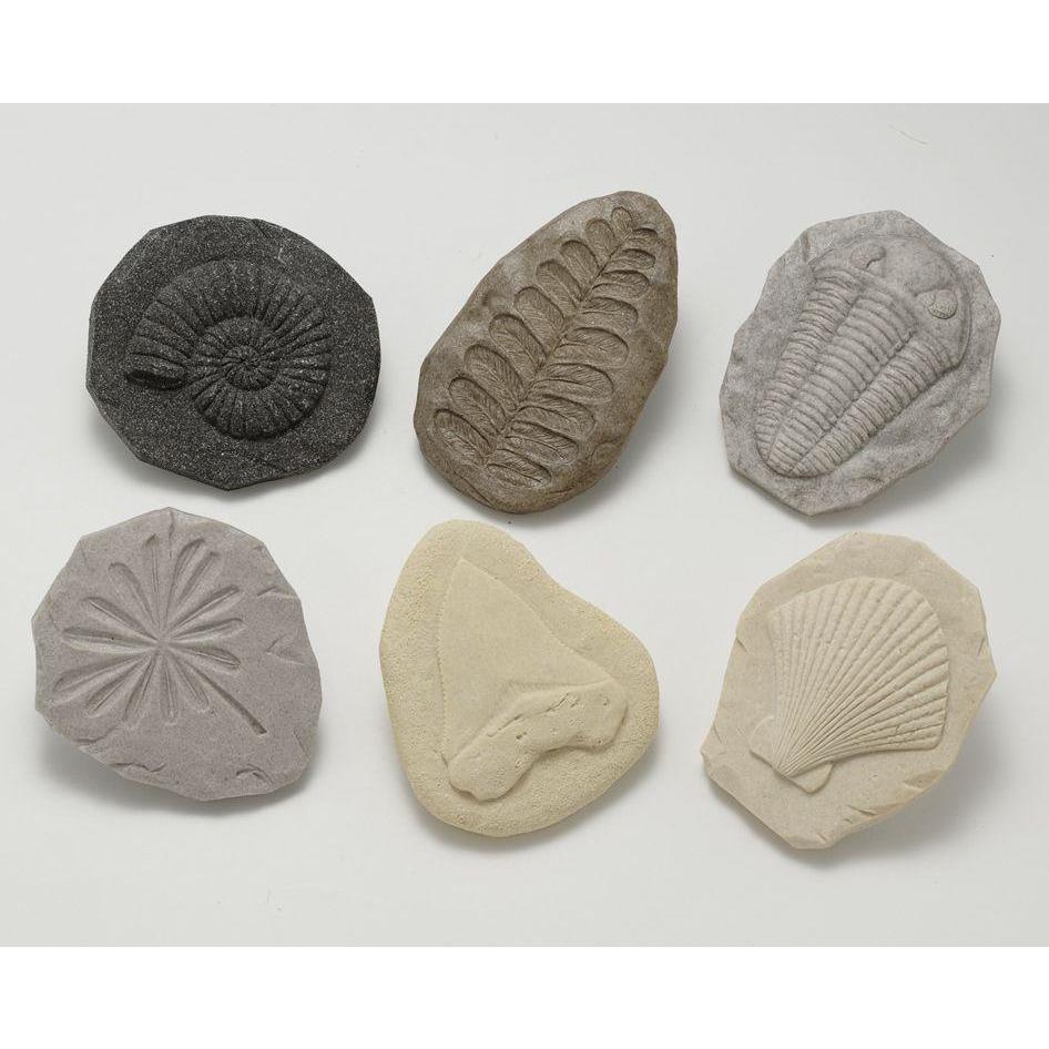 Fossil Print Stones - Little Whispers