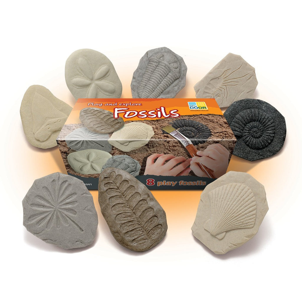 Fossil Print Stones - Little Whispers