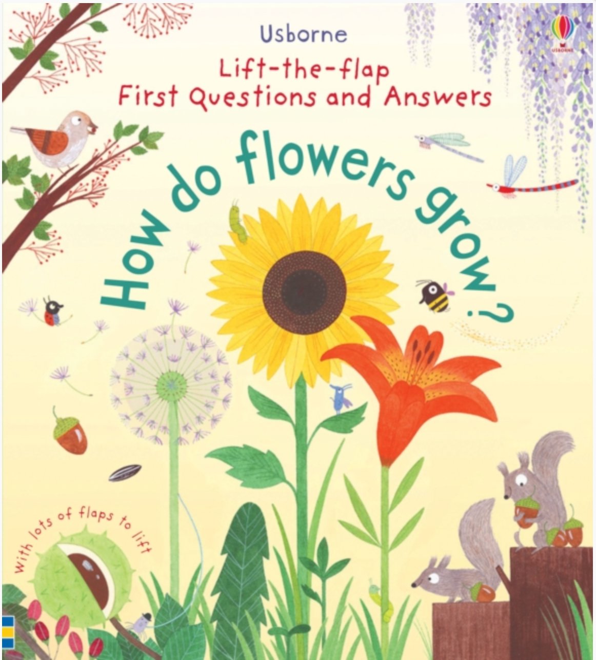How do Flowers Grow? First Questions and Answers Board Book - Little Whispers