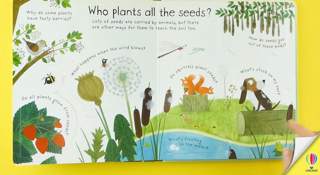 How do Flowers Grow? First Questions and Answers Board Book - Little Whispers