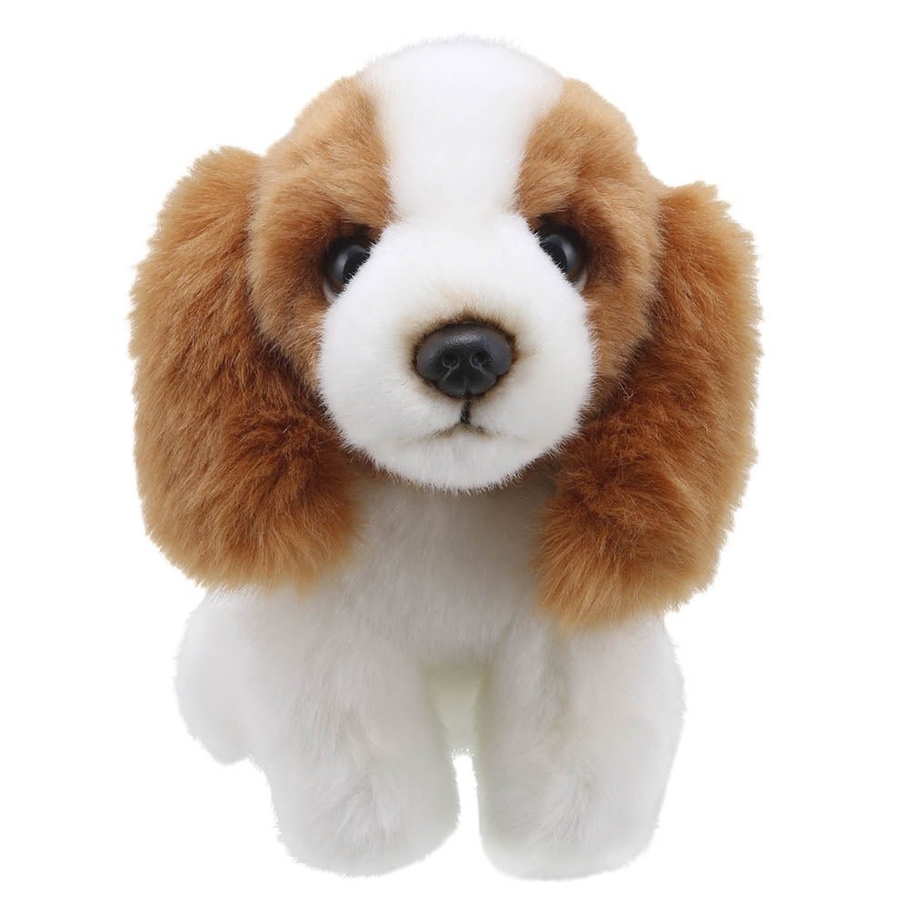 Spaniel soft toy shop