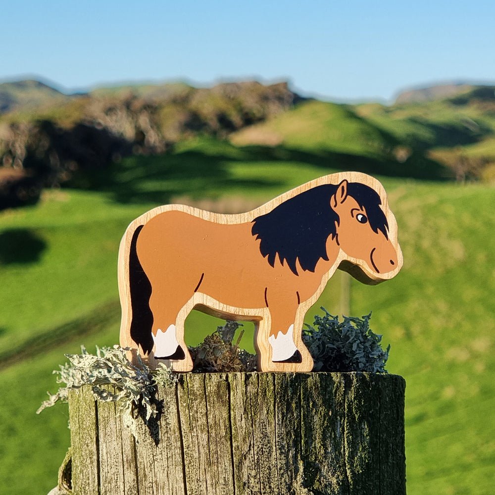 Lanka Kade Shetland Pony - Little Whispers