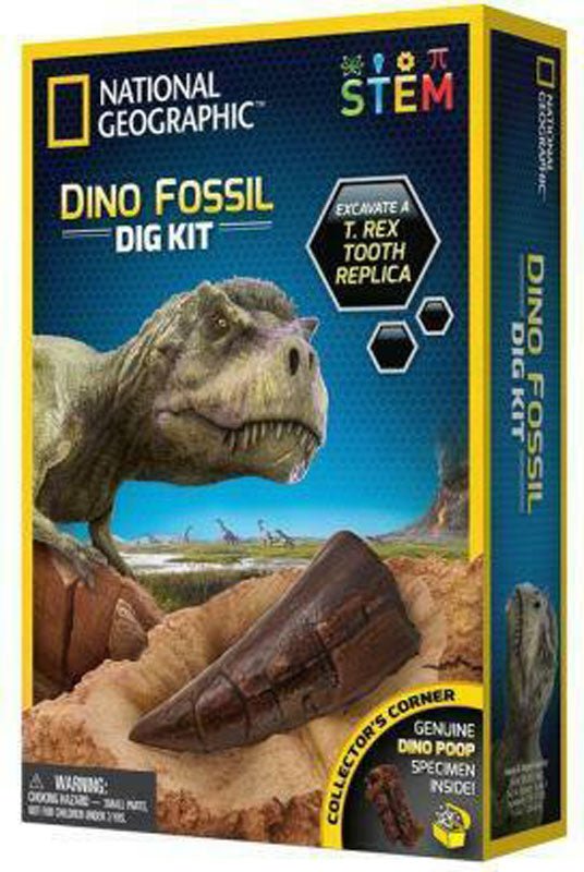 National Geographic Dino Fossil Dig Kit - Little Whispers