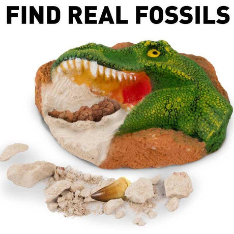 National Geographic Dinosaur Dig Kit - Little Whispers