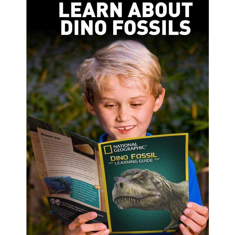 National Geographic Dinosaur Dig Kit - Little Whispers