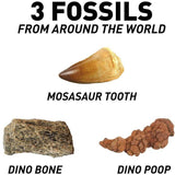 National Geographic Dinosaur Dig Kit - Little Whispers