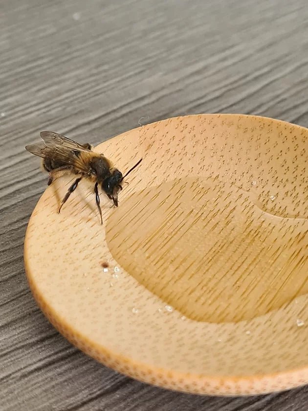 Nature Nurture Bee Gift Set - Little Whispers