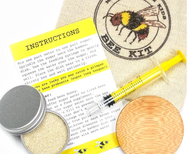 Nature Nurture Bee Rescue Kit - Little Whispers