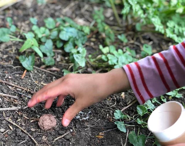 Nature Nurture Seed Bomb Kit - Little Whispers