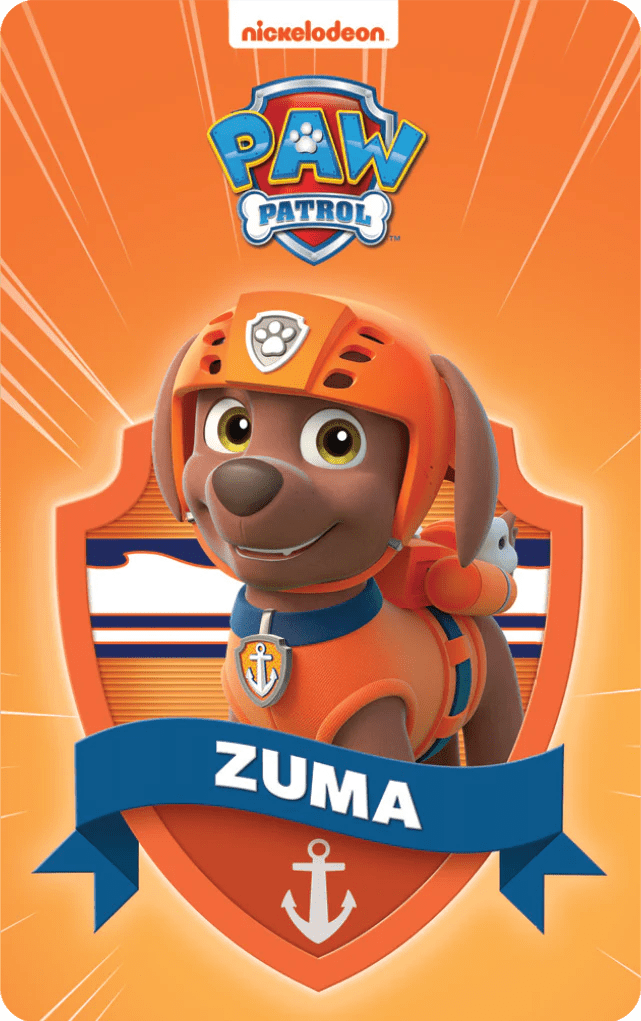 Paw Patrol Pup Pack (6 Cards) Audio Card - Little Whispers