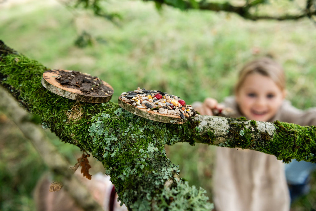 Den Kit Bird Feeding Pizza Kit