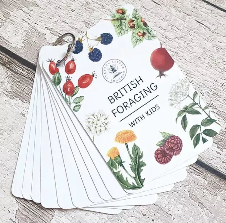 Playful Little Readers British Foraging flashcards - Little Whispers