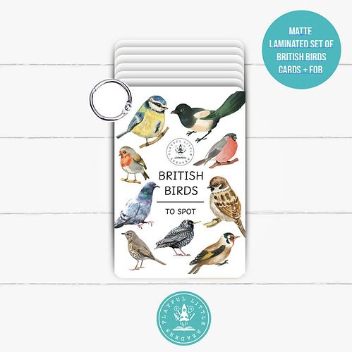 PLR Flash Cards, Garden Birds - Explorer - Little Whispers