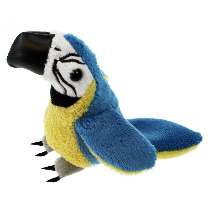 Puppet Company Blue & Gold Macaw Finger Puppet - Little Whispers