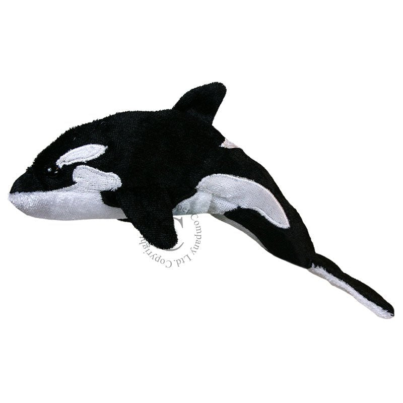 Orca whale soft toy shop