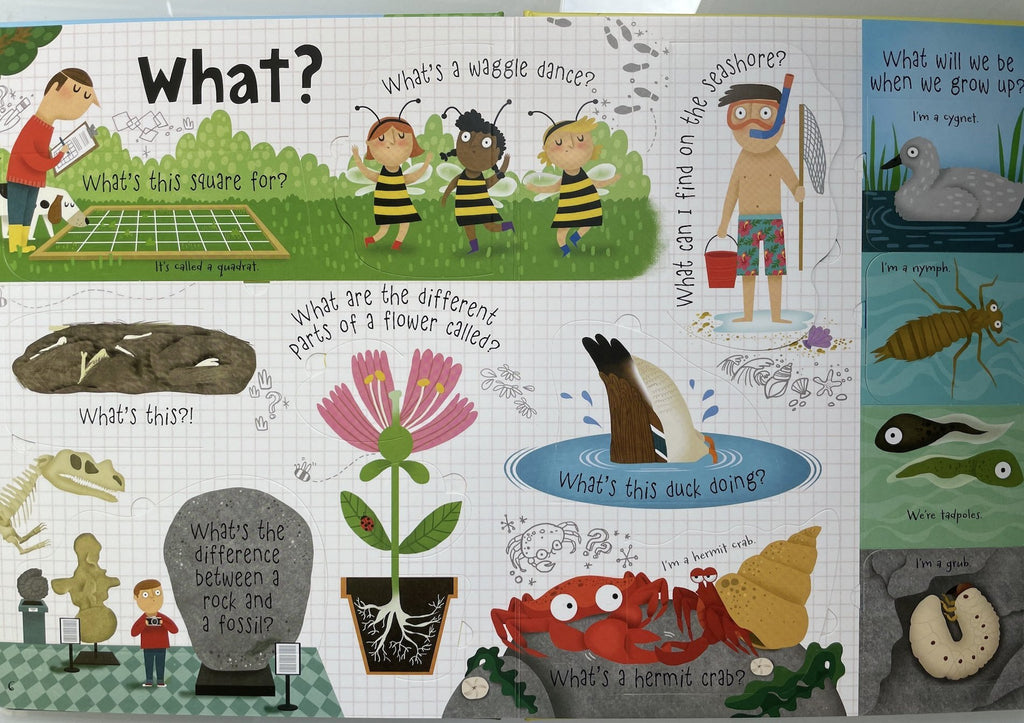 Questions and Answers about Nature Board Book - Little Whispers