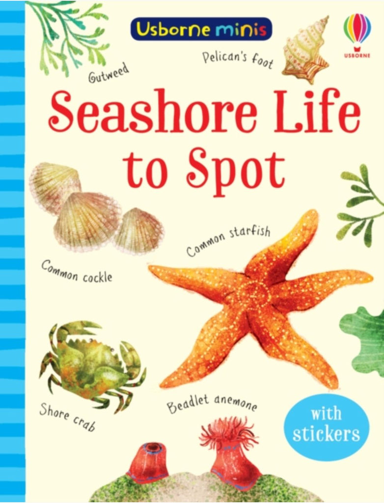 Seashore Life to Spot Paperback Book - Little Whispers