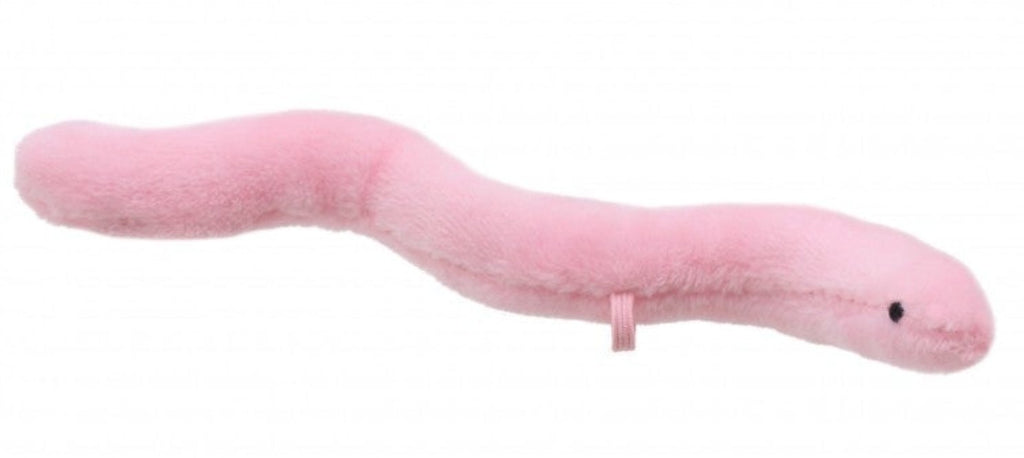 Super Worm Story Sack - Little Whispers